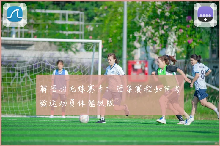 解密羽毛球赛季：密集赛程如何考验运动员体能极限